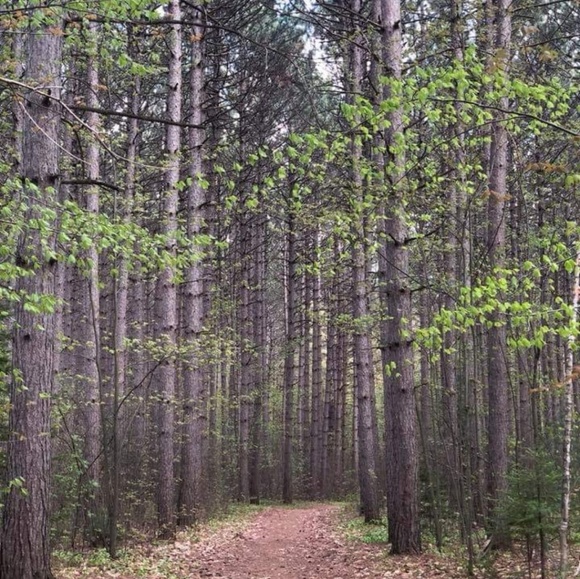 Meet your Posher, Ly - Picture 1 of 1